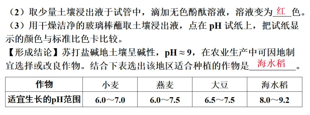 2026年中考化学一轮复习专题八科学探究 第15张