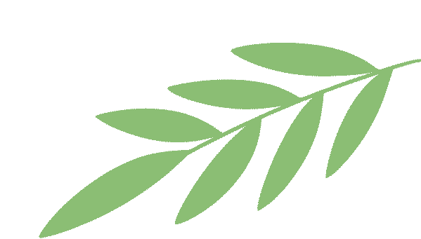 深耕中考复习 共研智慧课堂——2026年亭湖区历史中考复习研讨会暨学科中心组“慧”课堂教学研讨活动在我校顺利举行 第4张