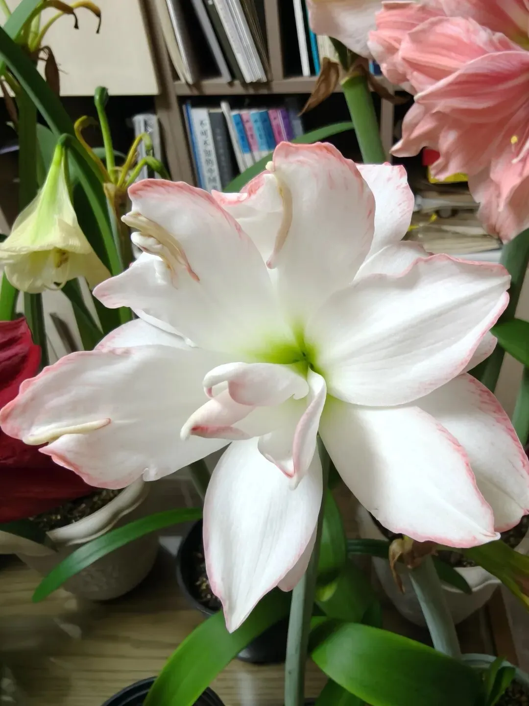 手动印试卷的往事 第1张 手动印试卷的往事 第1张