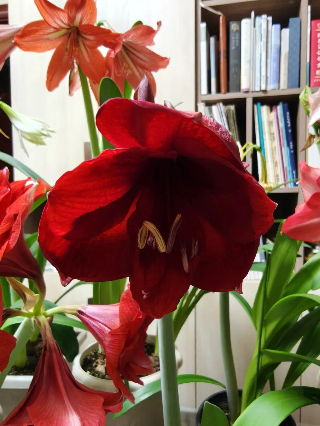 手动印试卷的往事 第2张 手动印试卷的往事 第2张