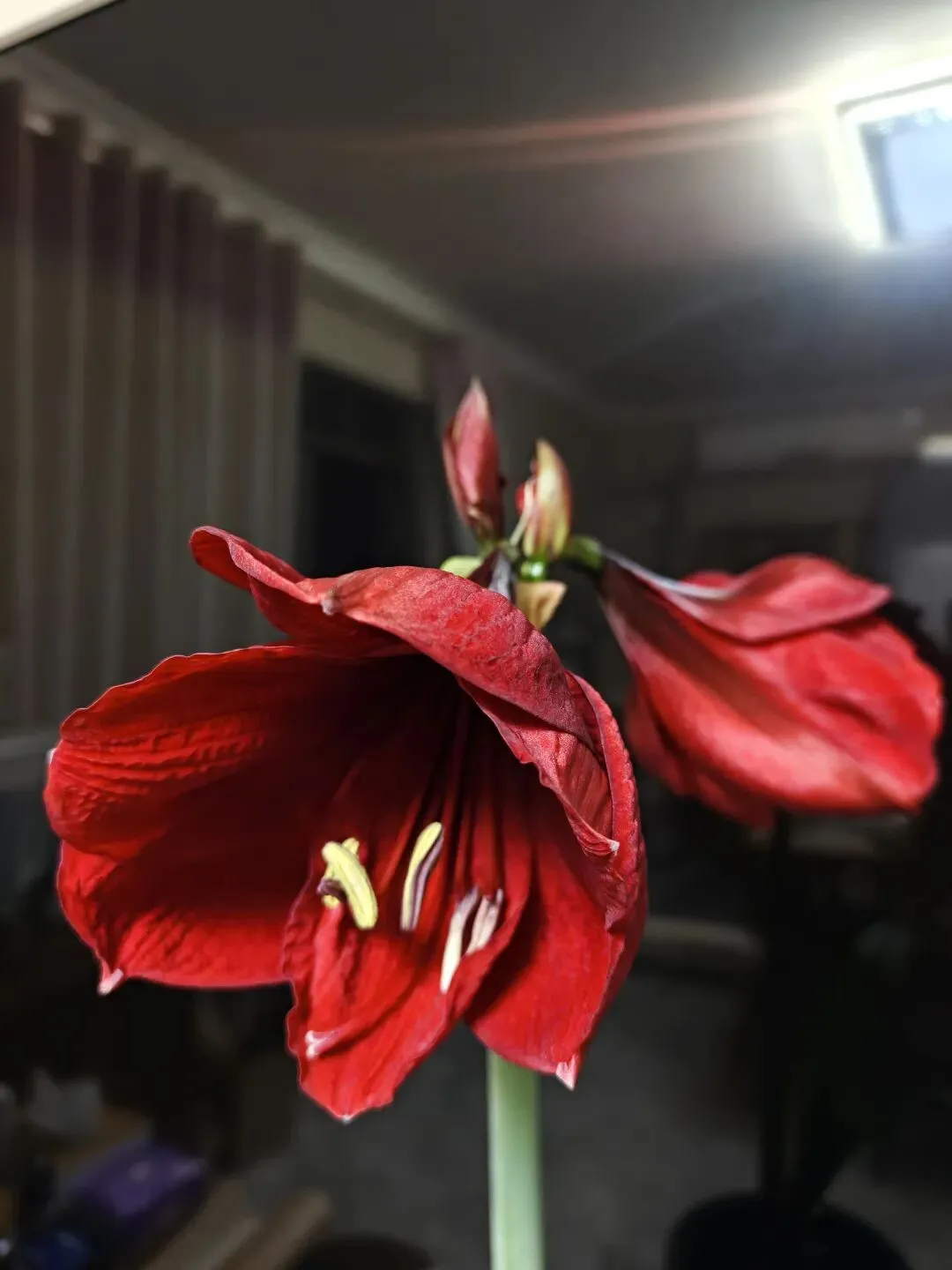 手动印试卷的往事 第3张 手动印试卷的往事 第3张