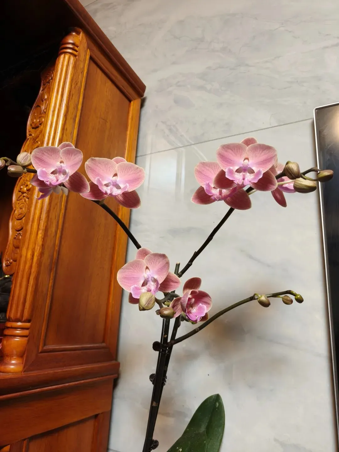 手动印试卷的往事 第4张 手动印试卷的往事 第4张