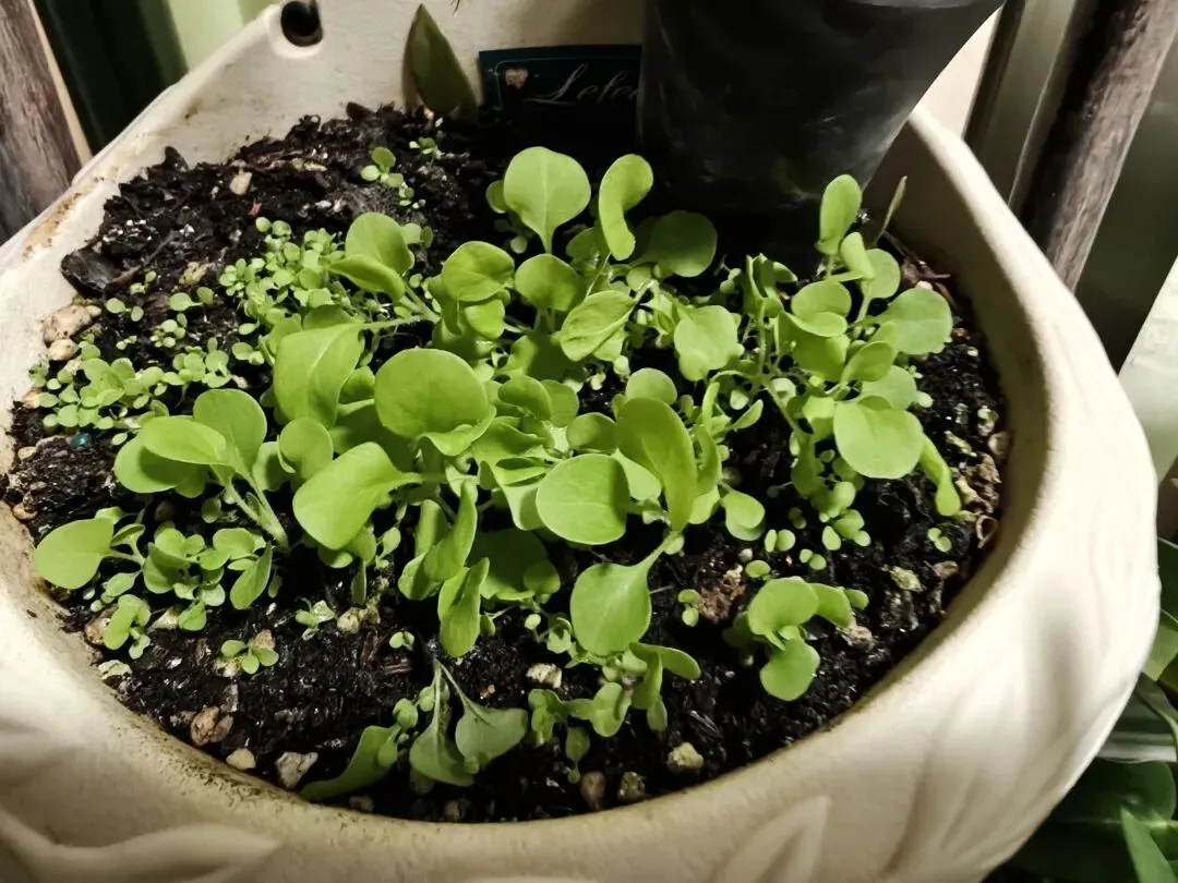 手动印试卷的往事 第5张 手动印试卷的往事 第5张