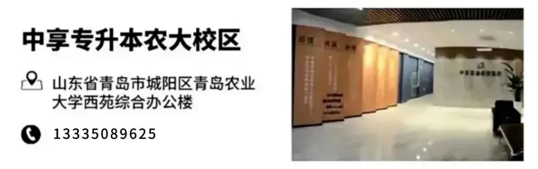 2026年山东专升本英语真题(回忆版) 第4张