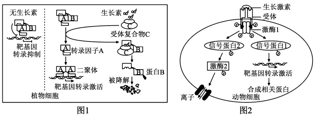 【高考真题】2025年海南卷生物试题 第5张
