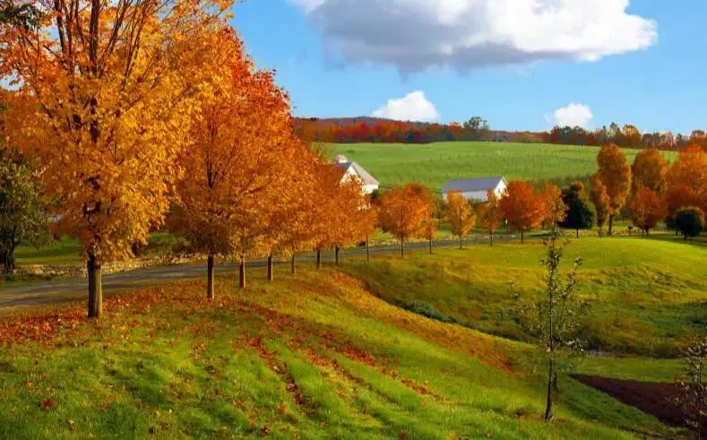 2026省实验三月化学试卷及答案.pdf 附下载 第6张