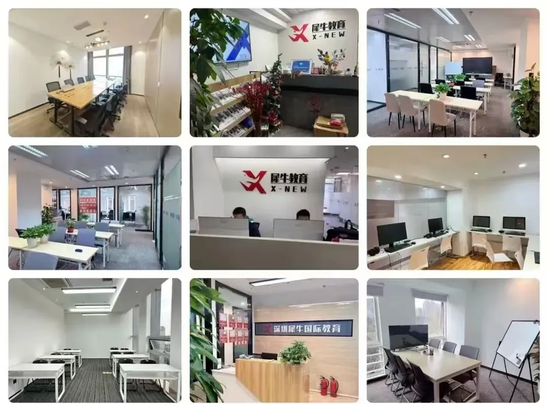 重磅!袋鼠竞赛真题+解析免费预约领取,附查分时间及流程,速看~ 第8张