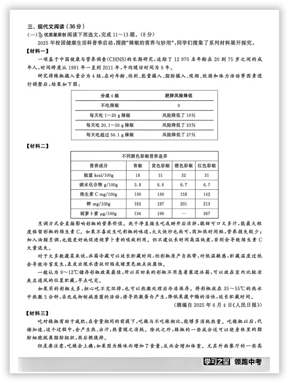 【2026】《初中语文•领跑中考模拟卷》中考(人教版),超全知识点梳理、例题解析! 第7张