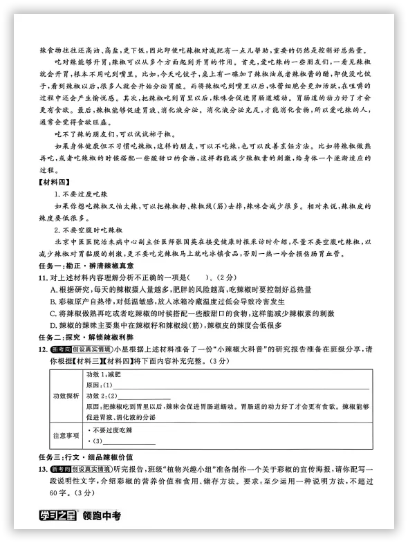 【2026】《初中语文•领跑中考模拟卷》中考(人教版),超全知识点梳理、例题解析! 第9张