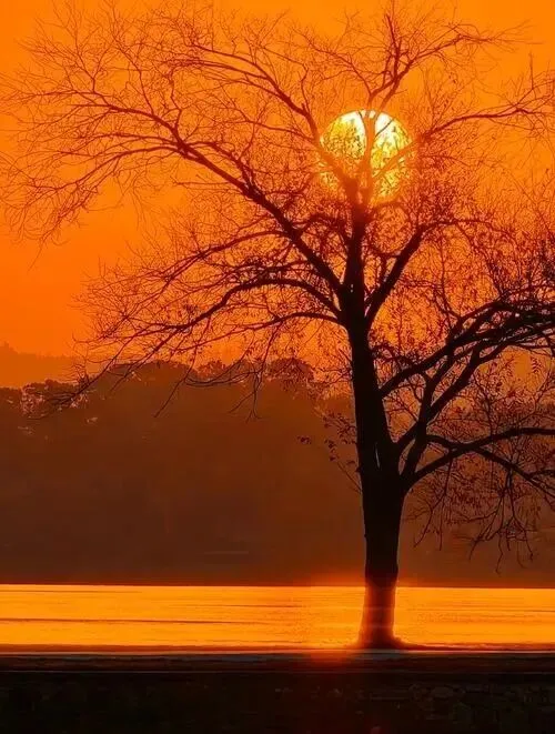 中考满分作文看,风景在变(精选8篇)-上 第3张