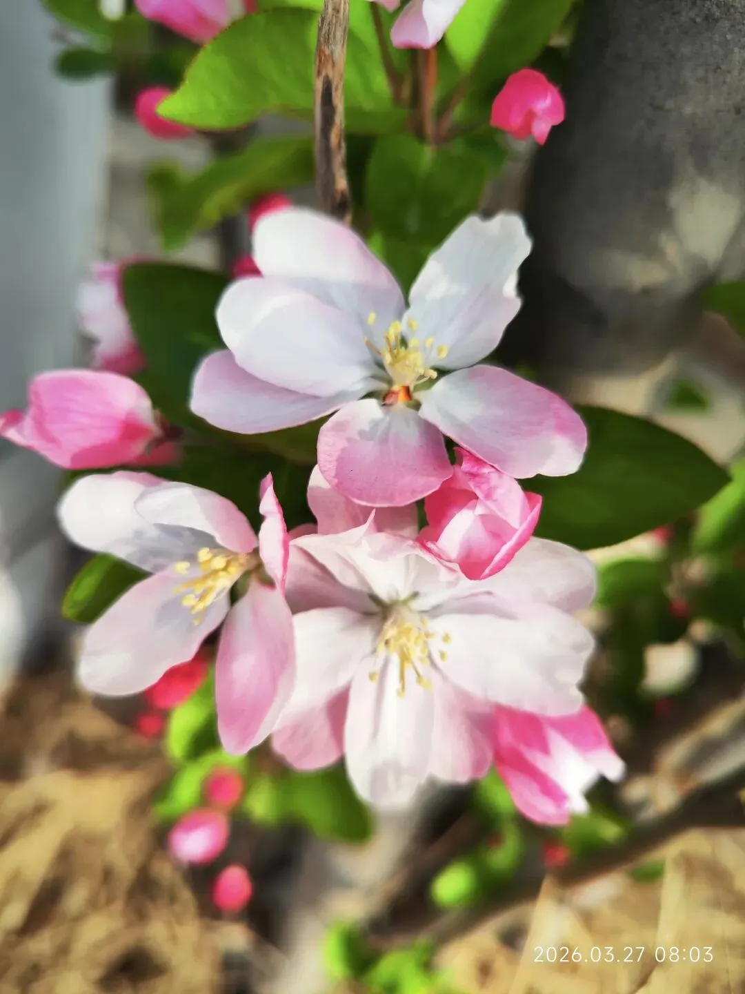 中考倒计时第84天 第1张