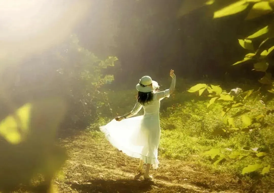 南京市、盐城市2026届高三年级第一次模拟考试语文井底之蛙的哲学思辨作文全方位指导与范文点评 第3张