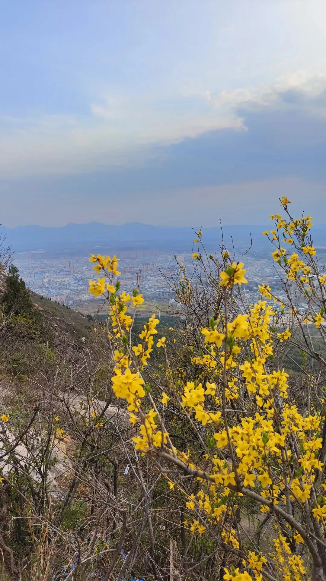 25-26山西太原高三下一模数学试卷 第12张 25-26山西太原高三下一模数学试卷 第12张