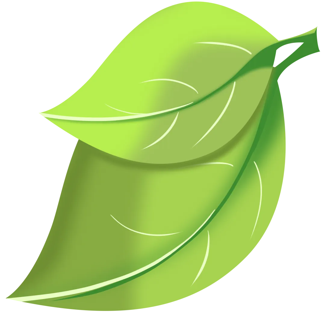 三年级阅读真题80篇 第2张