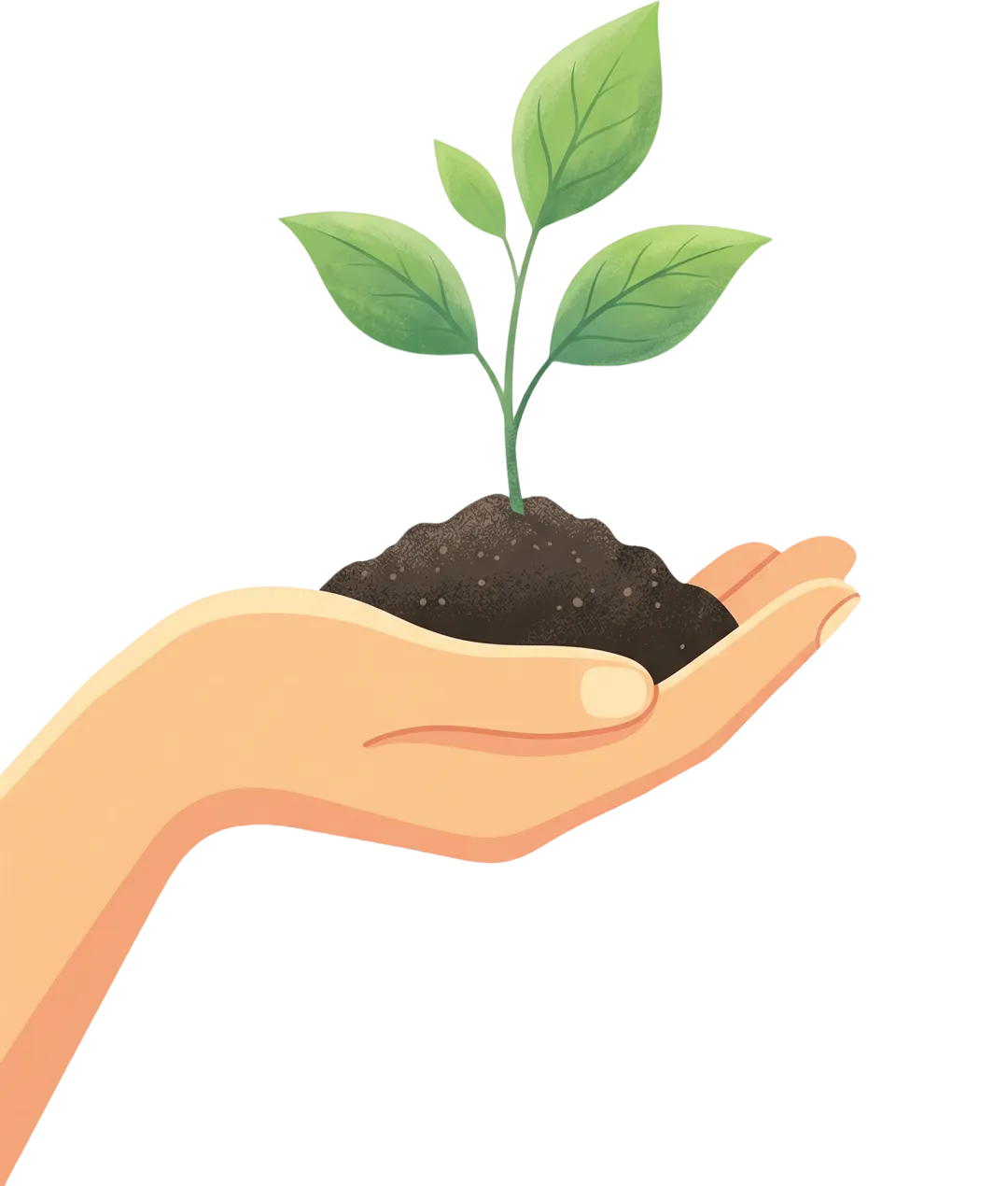 三年级阅读真题80篇 第4张