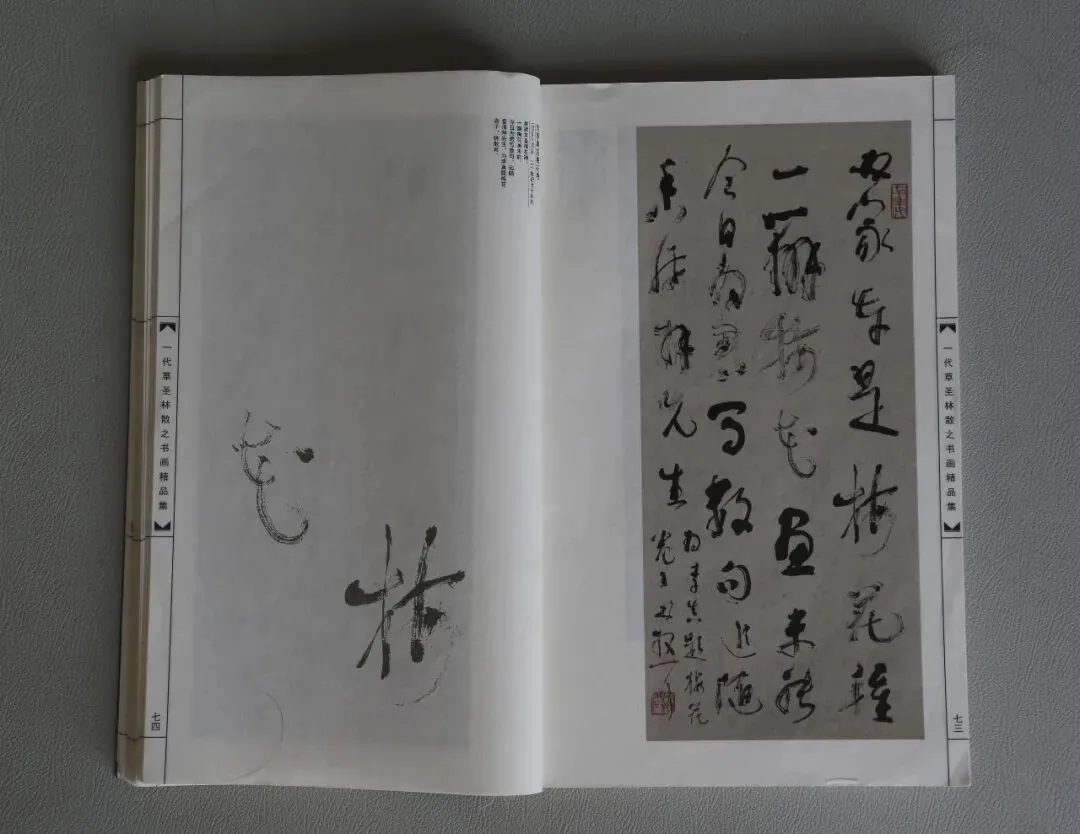 林散之草书《自作诗<为李真题关山月李苦禅梅花卷子>》过眼录 第5张