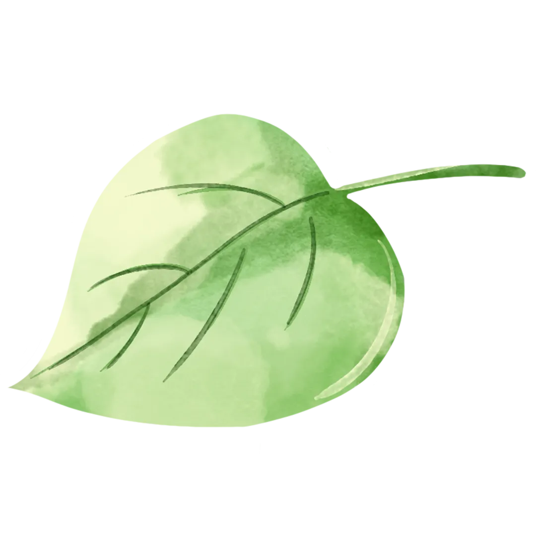 三年级阅读真题80篇 第15张