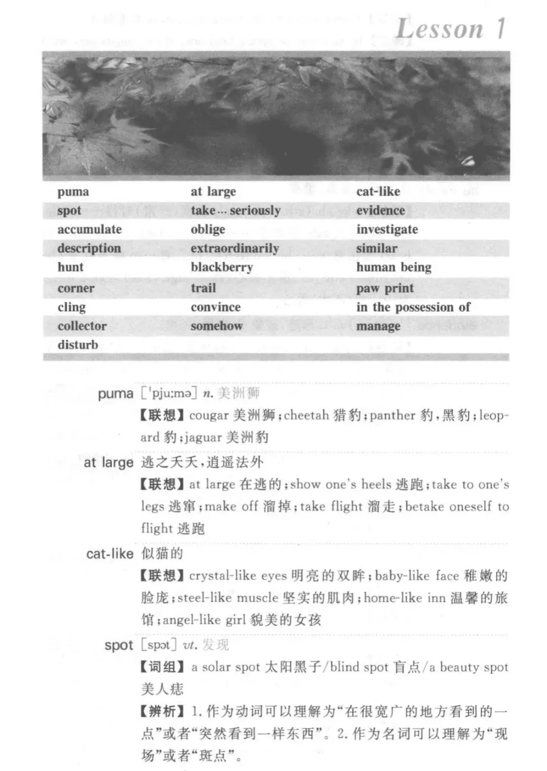 【免费资源】新概念英语真题词汇背多分:真题例句+考点直击!中考、高考、四六级全收录! 第15张