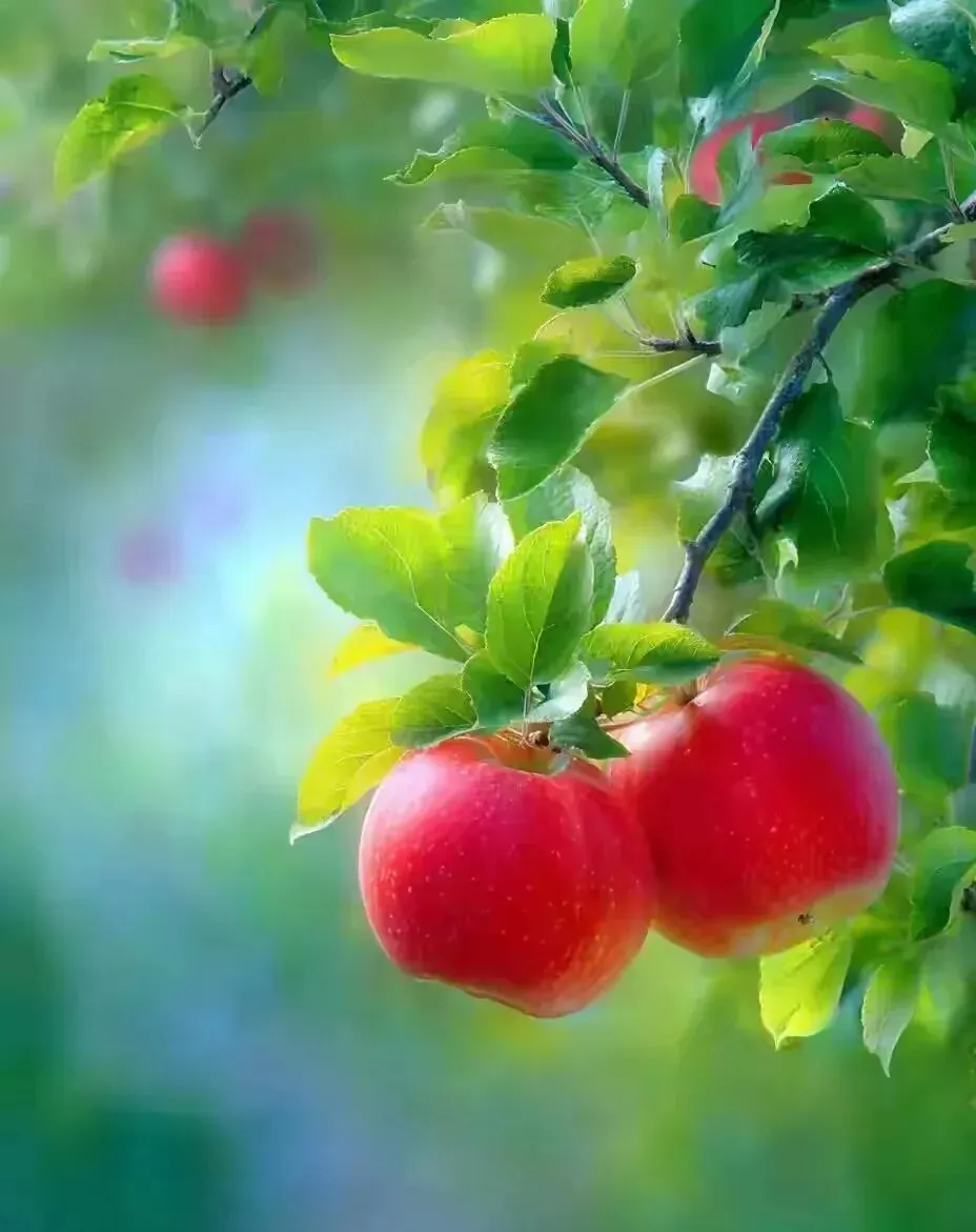 七下语文第一次月考试卷 第14张