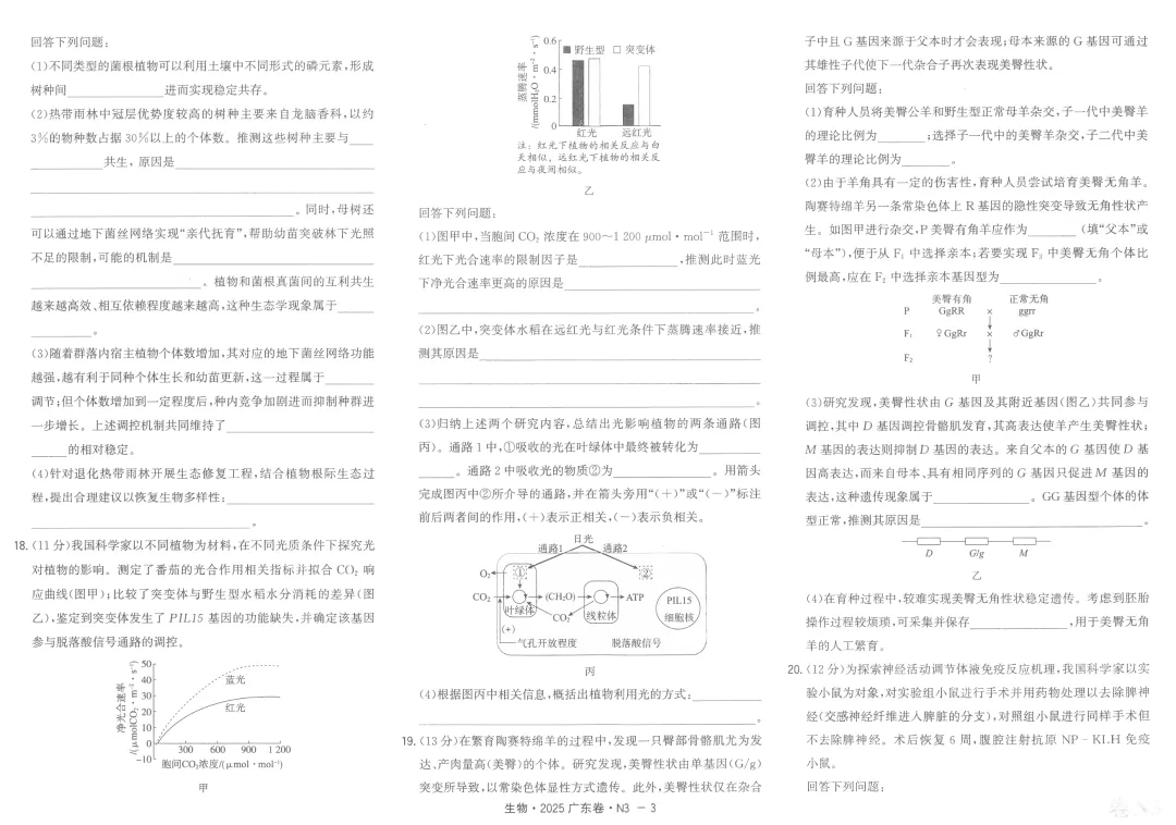 2026版天利38套5年真题plus版全科系列pdf版生物篇主书 第19张