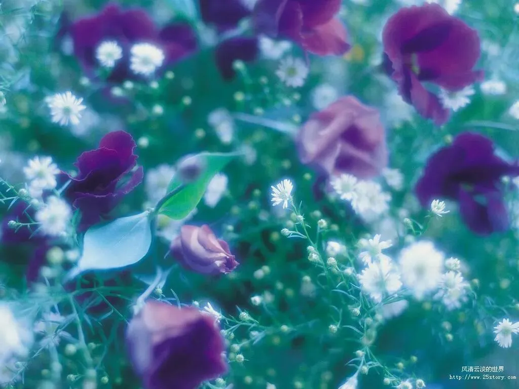 《在希望的田野上》(2019年云南曲靖中考满分作文) 第1张