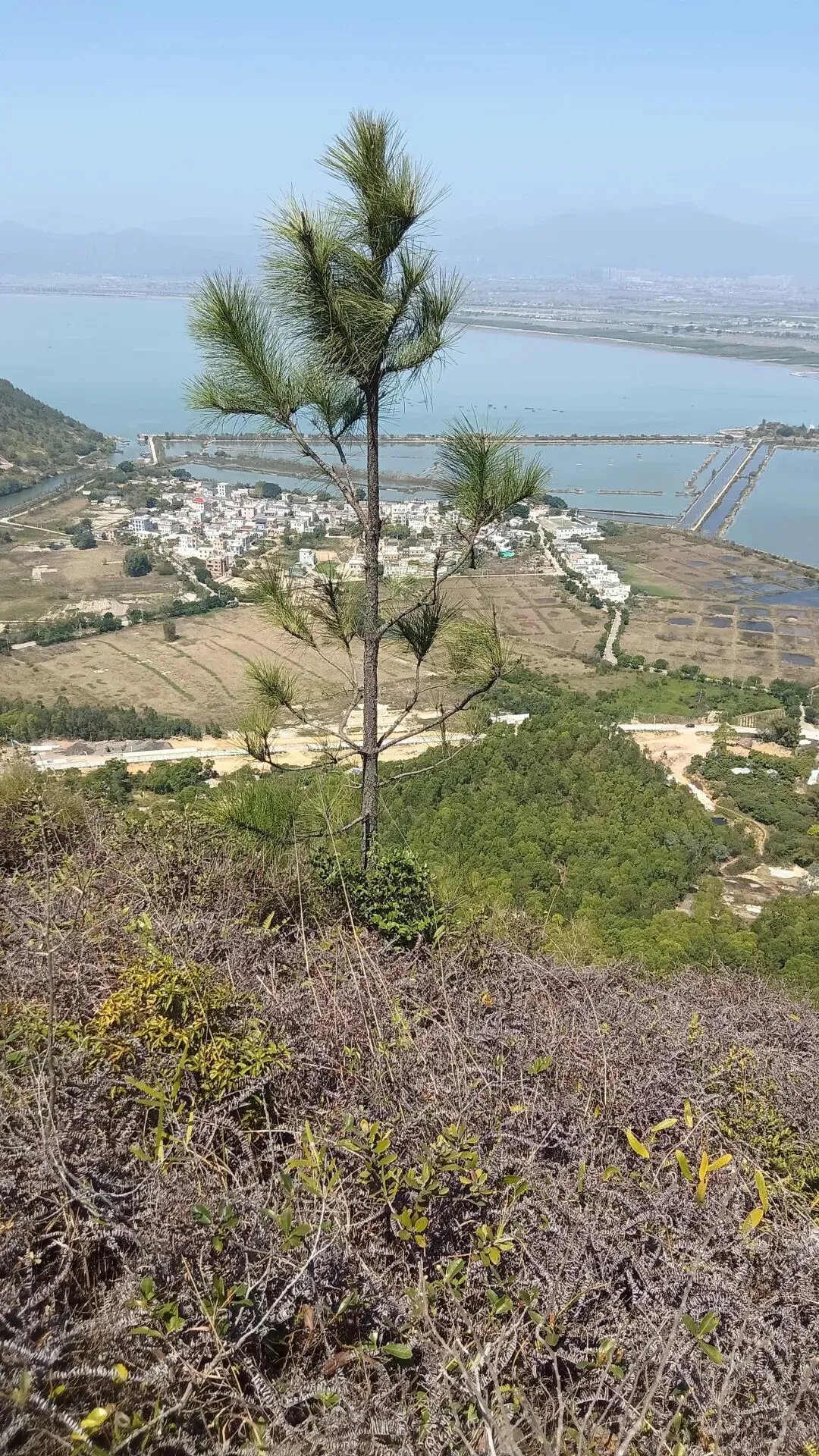 【中考押题作文】中考名著读后感作文模拟题全解(审题+标题+范文) 第1张 【中考押题作文】中考名著读后感作文模拟题全解(审题+标题+范文) 第1张