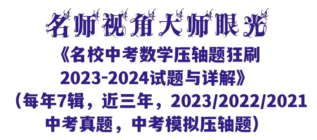 《名校中考数学热难点专题训练》更新至6分册/40本中考专题巨作/空前绝后 第14张