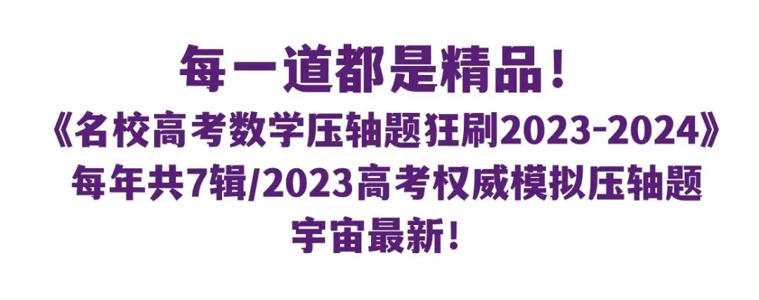 《名校中考数学热难点专题训练》更新至6分册/40本中考专题巨作/空前绝后 第32张