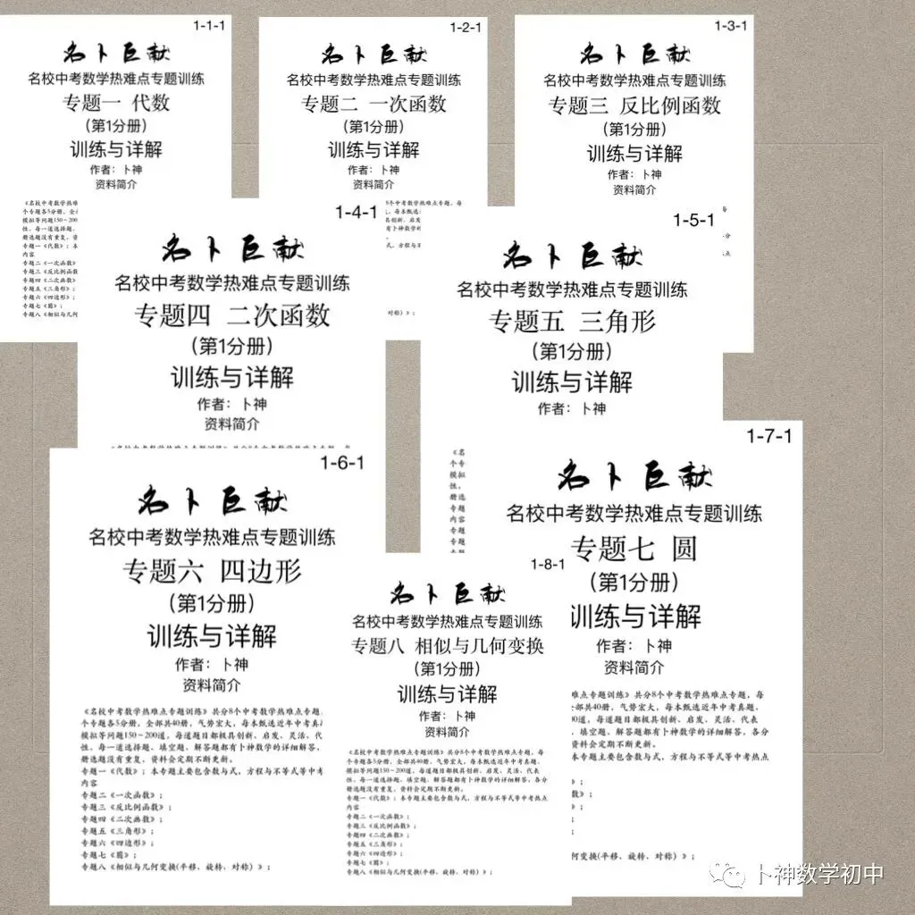 《名校中考数学热难点专题训练》更新至6分册/40本中考专题巨作/空前绝后 第66张