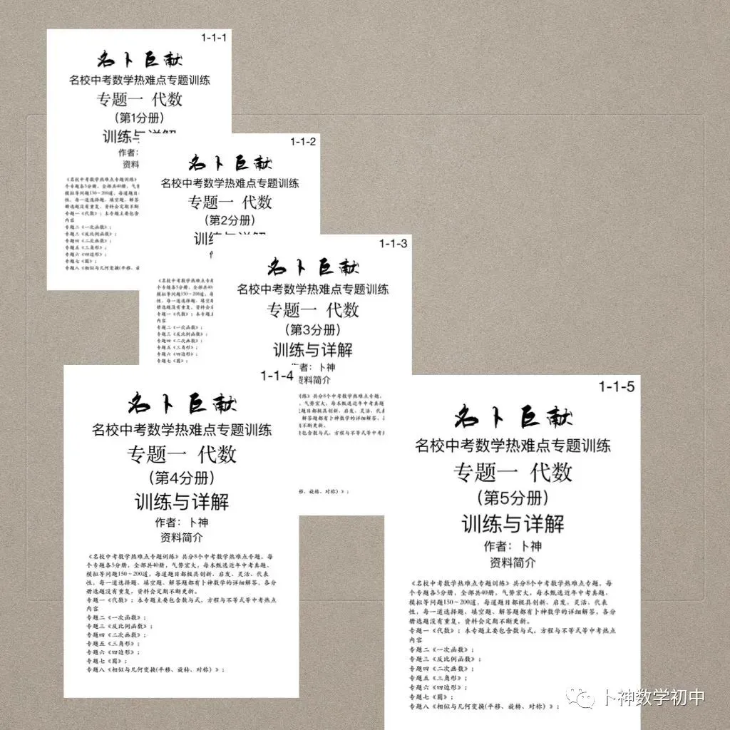 《名校中考数学热难点专题训练》更新至6分册/40本中考专题巨作/空前绝后 第71张