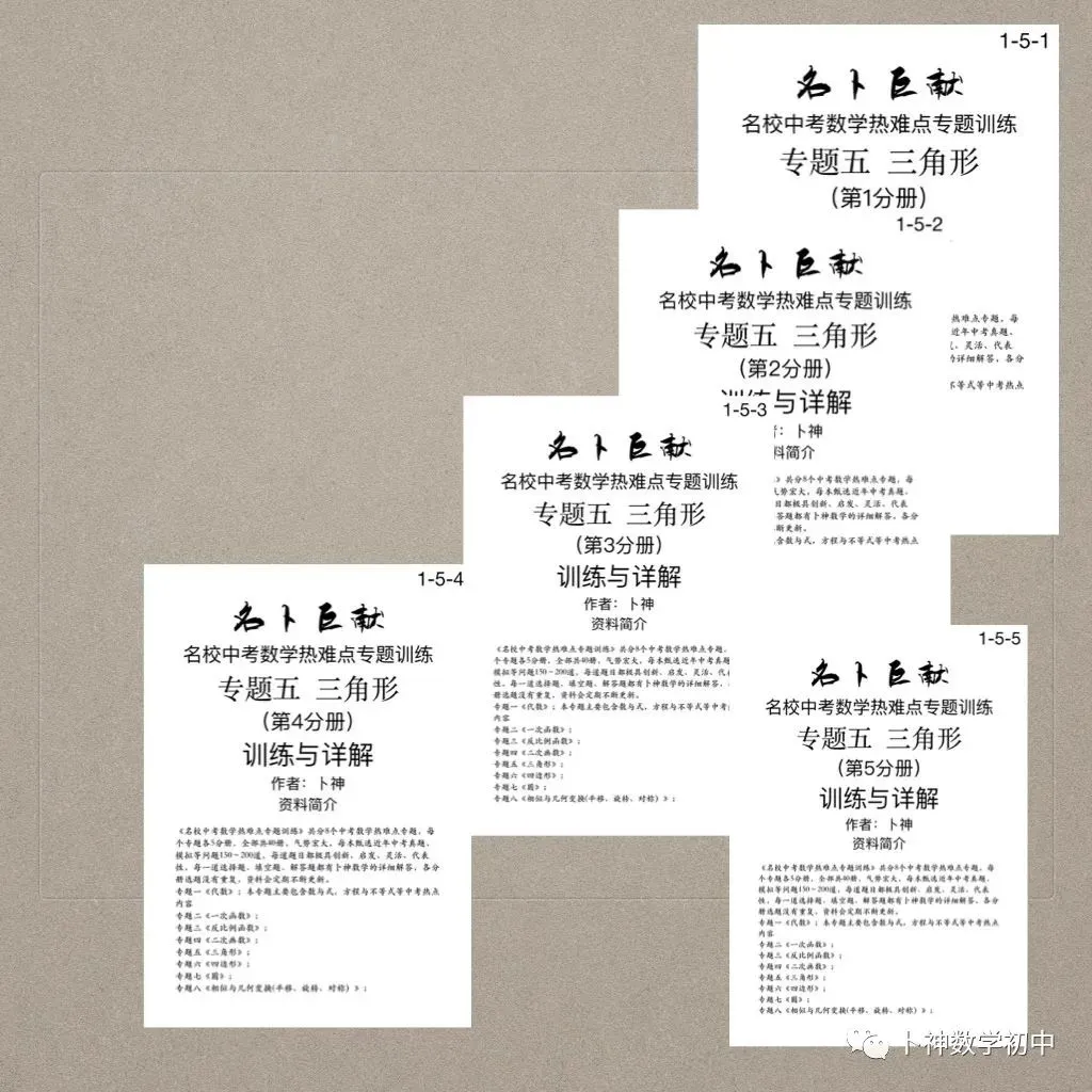 《名校中考数学热难点专题训练》更新至6分册/40本中考专题巨作/空前绝后 第74张