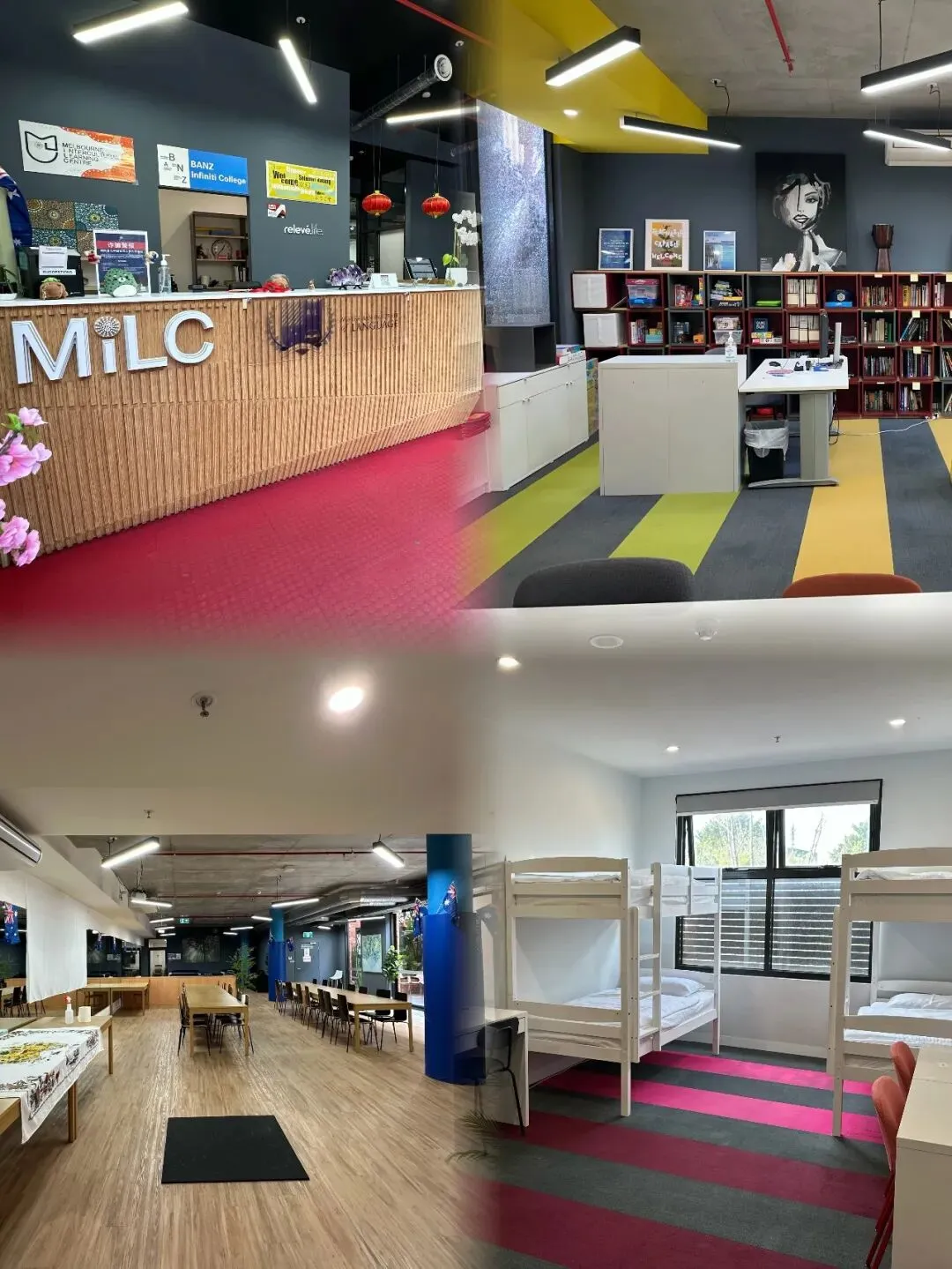 中考分流后,50%的孩子去哪了? 第8张