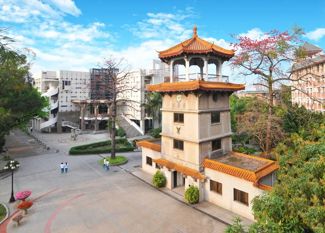 中考政策|怎么考进培英中学鹤洞校区 第1张