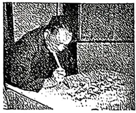 2026年中考历史二轮专题复习试卷:中国共产党成立105周年(学生版) 第25张