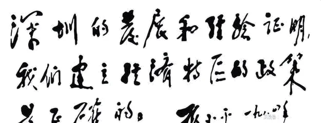 2026年中考历史二轮专题复习试卷:中国共产党成立105周年(学生版) 第38张