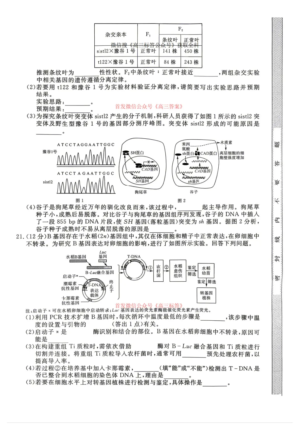 2026年普通高校招生考试仿真模拟卷三答案 第6张