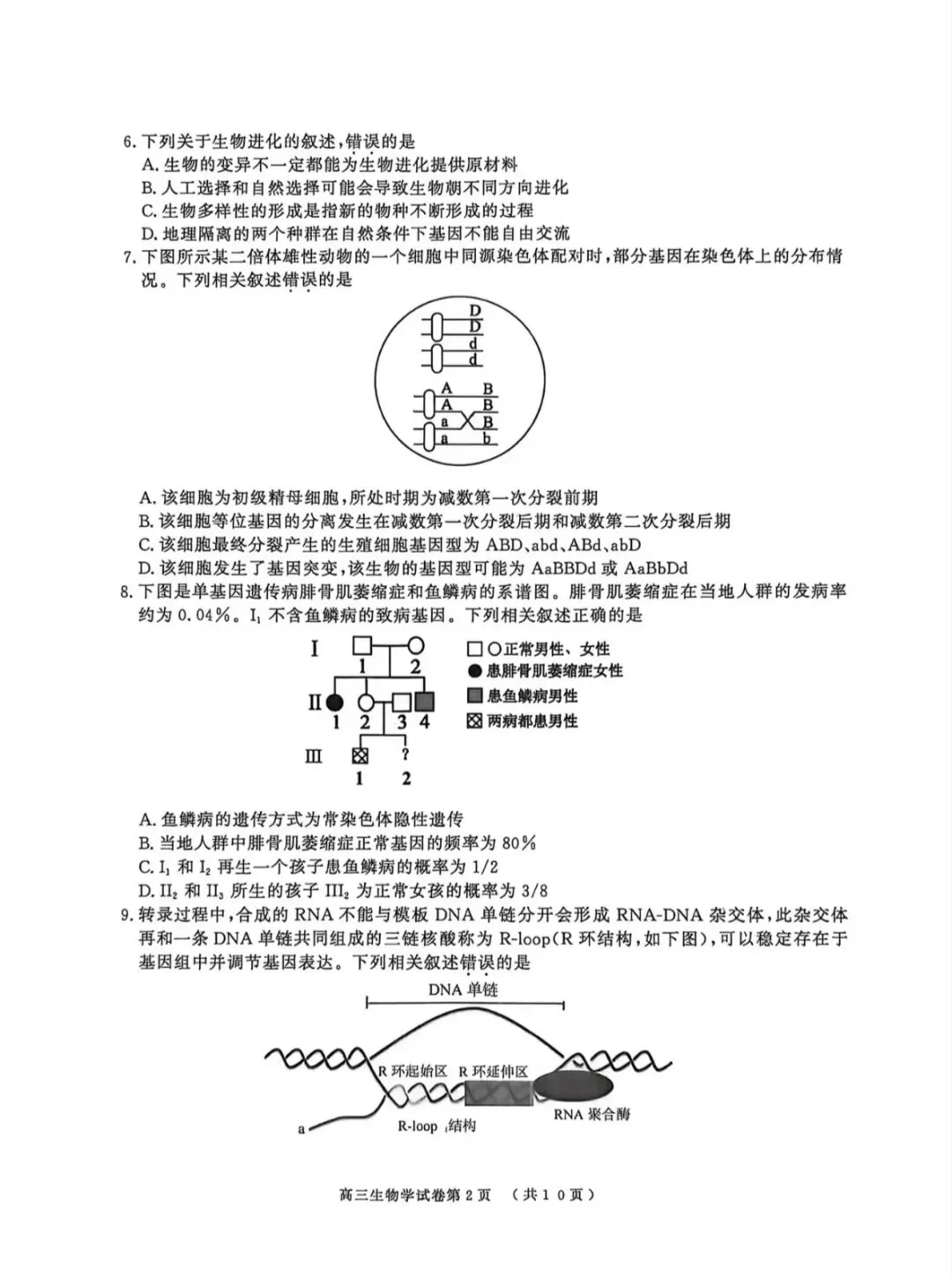 2026年南京盐城一模生物学试卷和参考答案 第2张