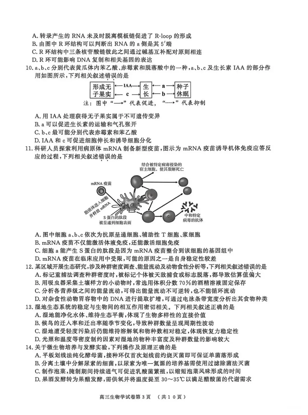 2026年南京盐城一模生物学试卷和参考答案 第3张