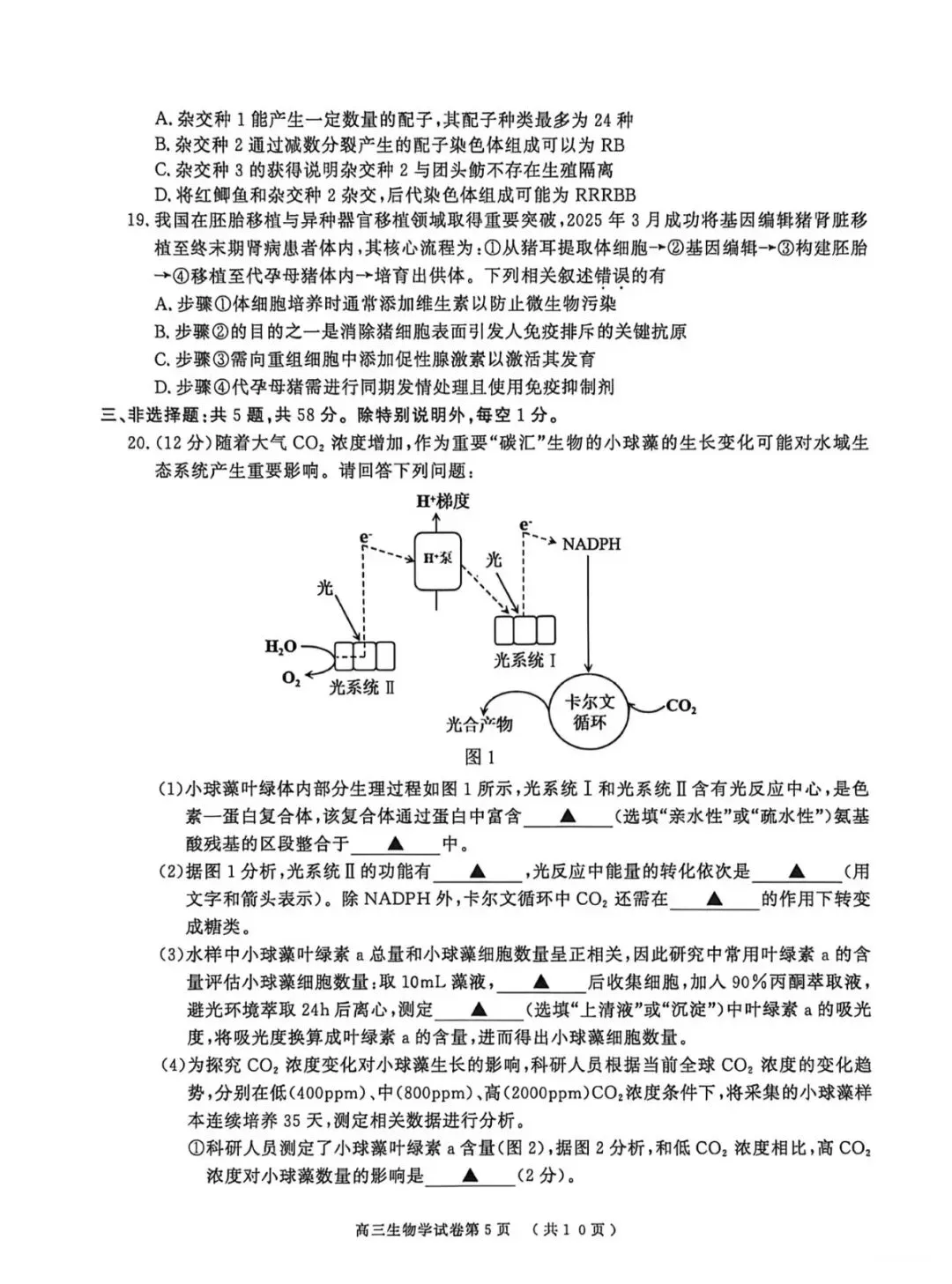 2026年南京盐城一模生物学试卷和参考答案 第5张