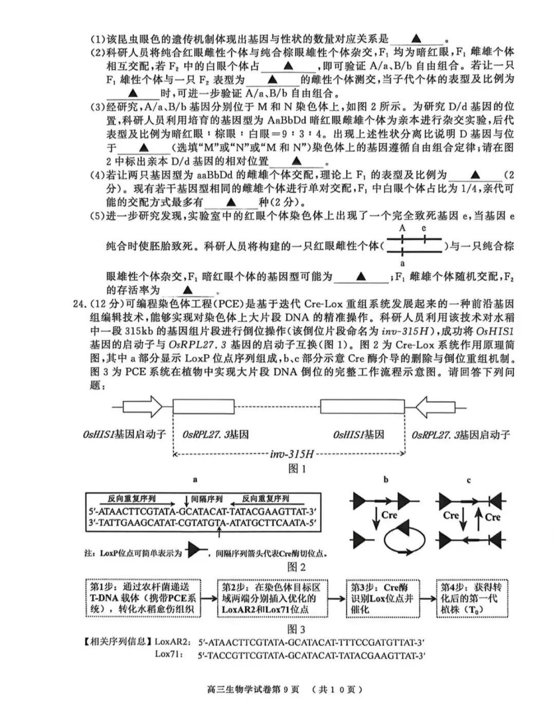 2026年南京盐城一模生物学试卷和参考答案 第9张