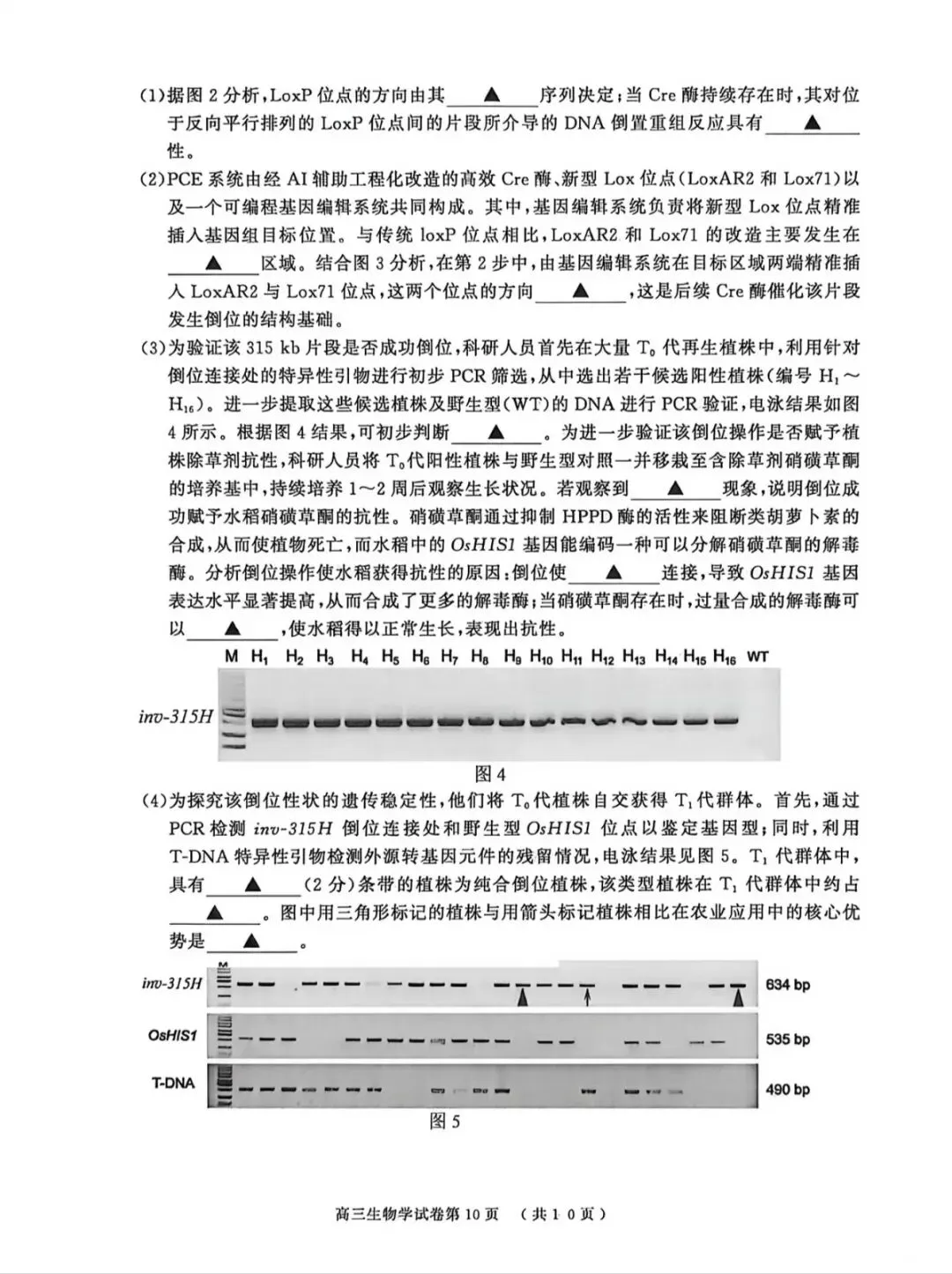 2026年南京盐城一模生物学试卷和参考答案 第10张