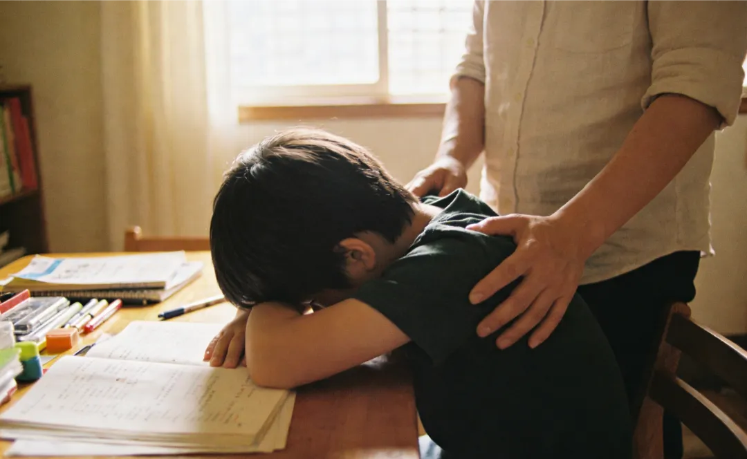 中考不焦虑 | 最怕的不是孩子不够努力,而是父母“太用力” 第6张