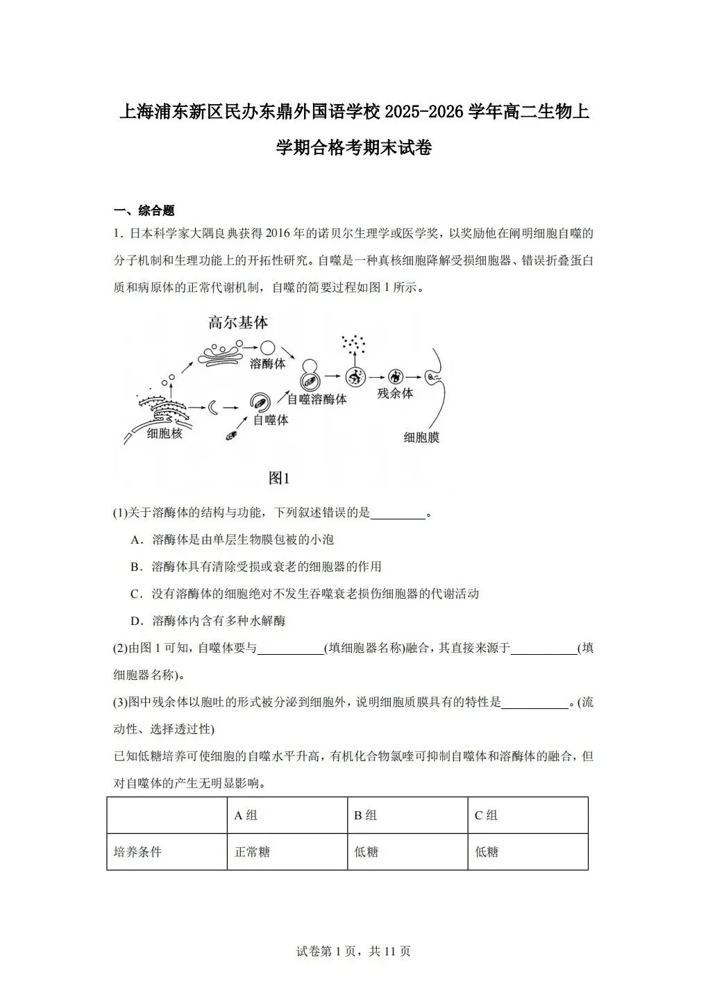 《试卷分享》高二合格考 第1张