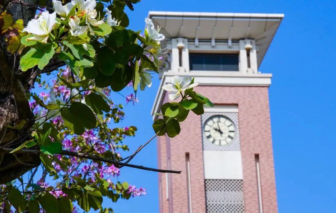 侨中开放日定档!还有中考志愿填报指导专场→ 第10张 侨中开放日定档!还有中考志愿填报指导专场→ 第10张