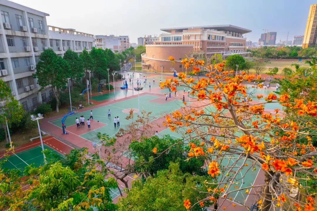 侨中开放日定档!还有中考志愿填报指导专场→ 第11张 侨中开放日定档!还有中考志愿填报指导专场→ 第11张