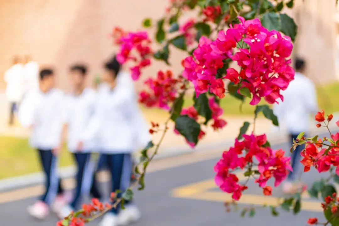 侨中开放日定档!还有中考志愿填报指导专场→ 第12张 侨中开放日定档!还有中考志愿填报指导专场→ 第12张