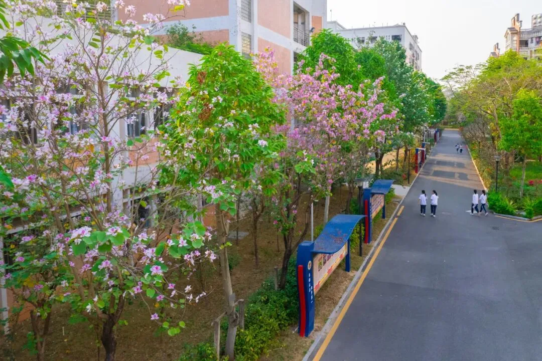 侨中开放日定档!还有中考志愿填报指导专场→ 第13张 侨中开放日定档!还有中考志愿填报指导专场→ 第13张