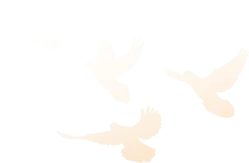 中考征程磨砺初心 青春使命勇担重任 |我校2026中考励志大会燃情启幕 第7张