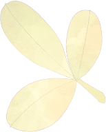 快估分!3月29日贵州教师联考D类真题及答案 第12张