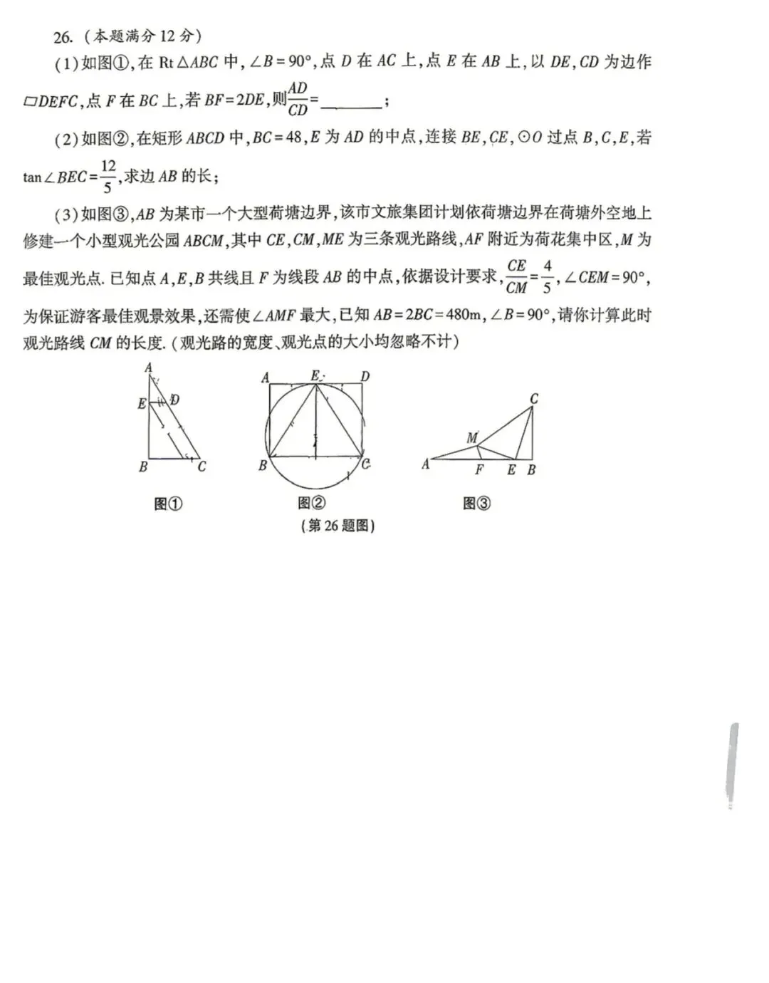 【模考试卷】九年级第二次模考试卷+答案(西大附中2026) 第9张